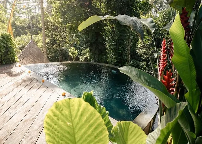 Basundari Retreat 4*